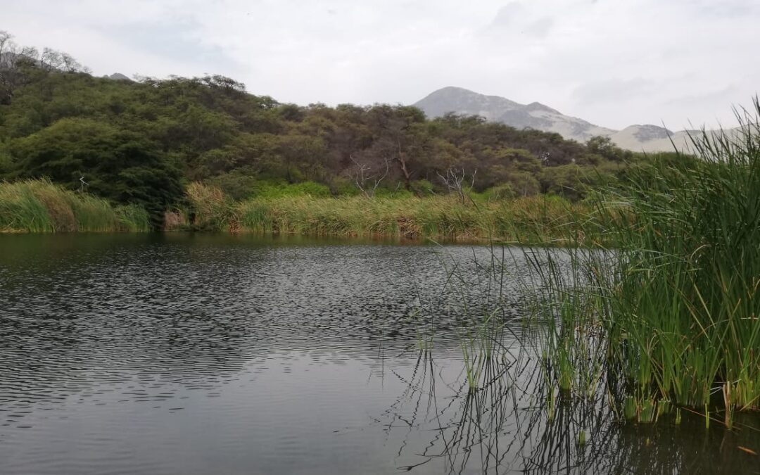 TOUR BOSQUE EL CAÑONCILLO