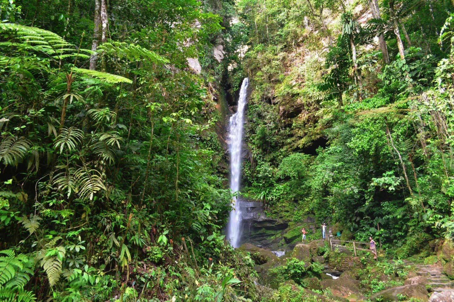 cataratas ahuashuyacu en tarapoto selva del peru