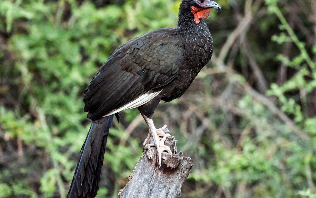 Tours Chiclayo 5Días/4 Noches