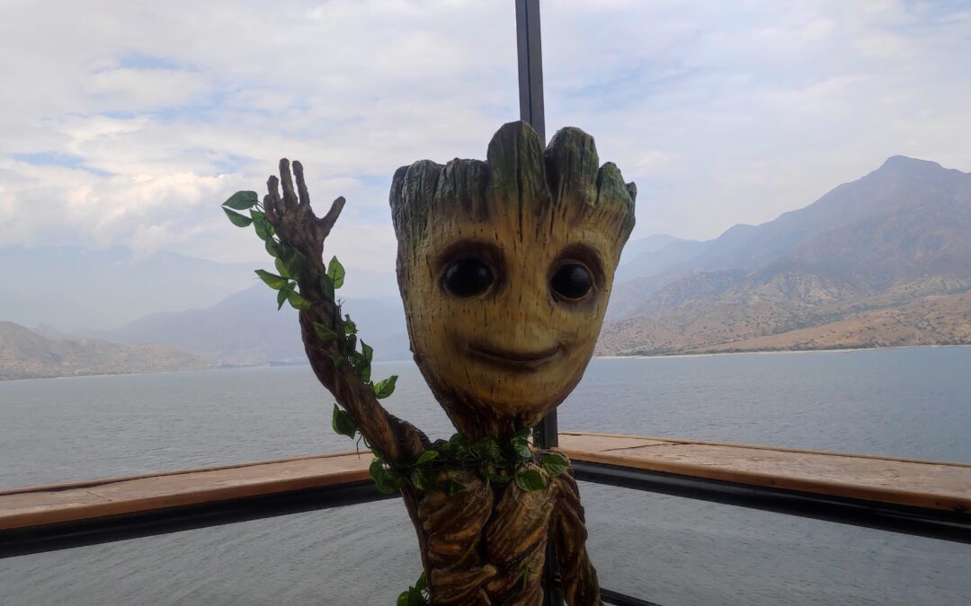 Tours a Jequetepeque