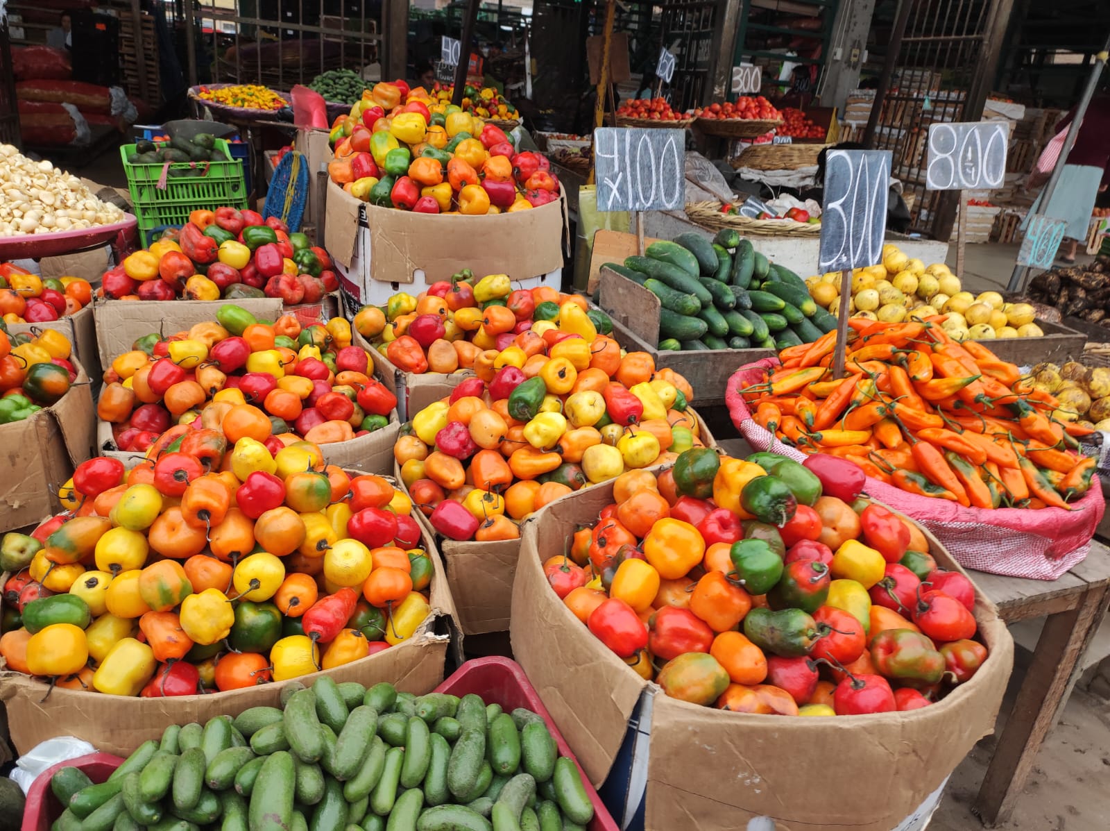 disfruta de experiencias locales y aprende de nuestras costumbres y tradiciones en el dia a dia en tours de mercados trujillo